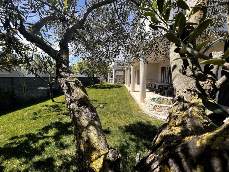 Saint-Laurent D'Aigouze : Appartement Avec Jardin Exteriör bild
